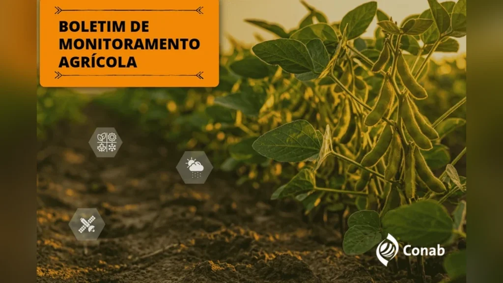 Chuvas favorecem plantio de verão no Centro-Oeste, mas excesso de umidade afeta lavouras no Sul